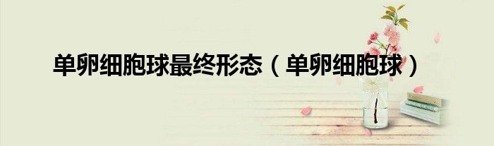 单卵细胞球最终形态（单卵细胞球）