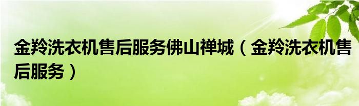 金羚洗衣机售后服务佛山禅城（金羚洗衣机售后服务）
