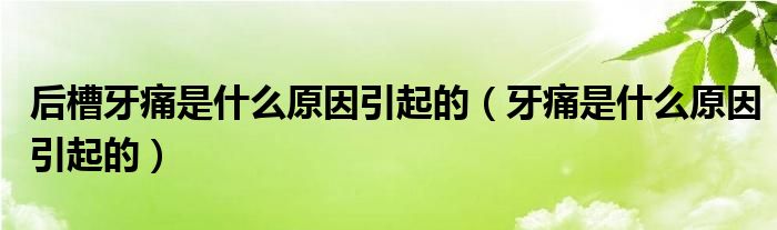 后槽牙痛是什么原因引起的（牙痛是什么原因引起的）