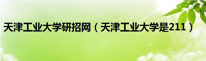 天津工业大学研招网（天津工业大学是211）
