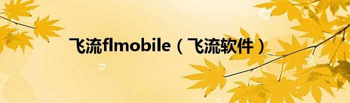 飞流flmobile（飞流软件）