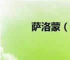 萨洛蒙（说一说萨洛蒙的简介）