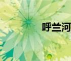 呼兰河传简介（呼兰简介）