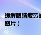 缓解眼睛疲劳的图片或视频（缓解眼睛疲劳的图片）