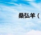 桑弘羊（说一说桑弘羊的简介）