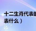 十二生肖代表的数字（钟汉离在十二生肖里代表什么）
