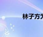 林子方为什么要走（林子方）