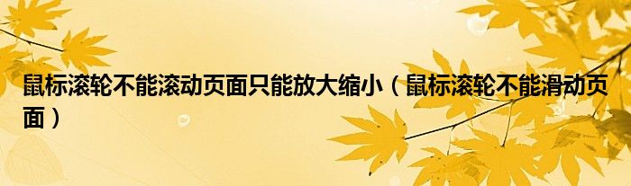 鼠标滚轮不能滚动页面只能放大缩小（鼠标滚轮不能滑动页面）