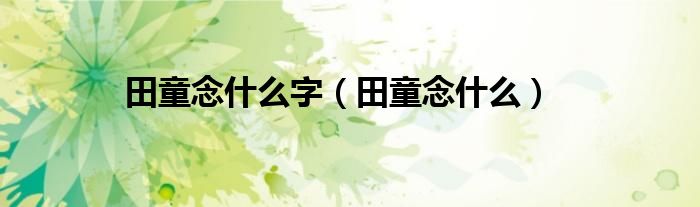 田童念什么字（田童念什么）
