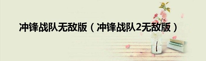 冲锋战队无敌版（冲锋战队2无敌版）