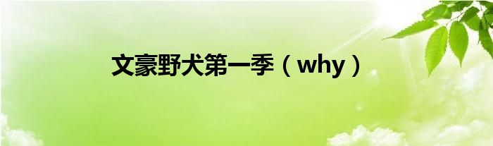 文豪野犬第一季（why）