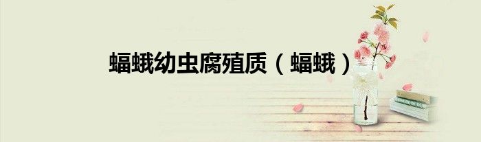 蝠蛾幼虫腐殖质（蝠蛾）