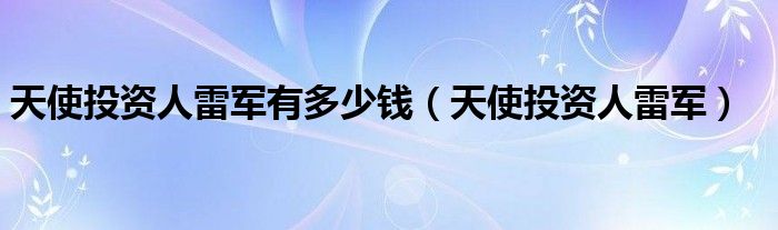 天使投资人雷军有多少钱（天使投资人雷军）