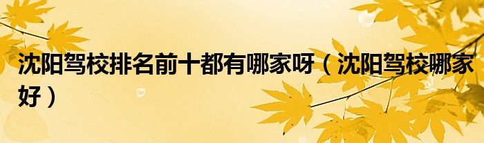 沈阳驾校排名前十都有哪家呀（沈阳驾校哪家好）