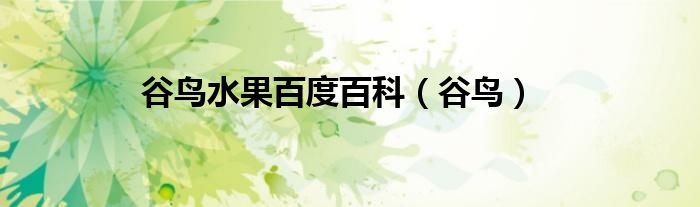 谷鸟水果百度百科（谷鸟）