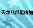 天龙八部星宿加点技巧（天龙八部星宿加点）