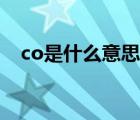 co是什么意思化学元素（co是什么意思）