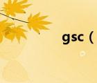 gsc（说一说gsc的简介）