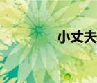 小丈夫小三（偷情小丈夫）