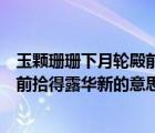 玉颗珊珊下月轮殿前拾得露华新的全诗（玉颗珊珊下月轮殿前拾得露华新的意思）