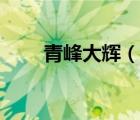 青峰大辉（说一说青峰大辉的简介）
