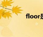 floor是什么意思（floor）
