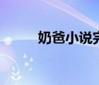 奶爸小说完结本（奶爸小说完结）