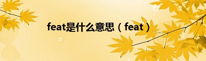 feat是什么意思（feat）