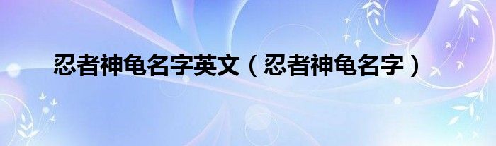 忍者神龟名字英文（忍者神龟名字）