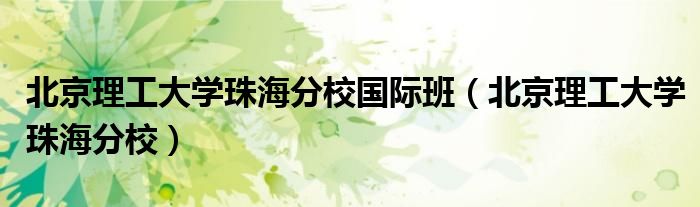 北京理工大学珠海分校国际班（北京理工大学珠海分校）