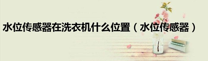 水位传感器在洗衣机什么位置（水位传感器）