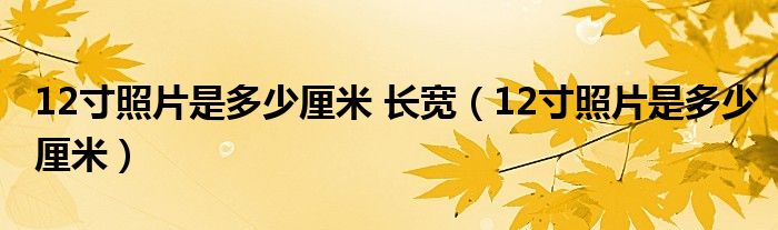 12寸照片是多少厘米 长宽（12寸照片是多少厘米）
