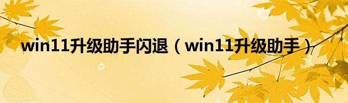 win11升级助手闪退（win11升级助手）