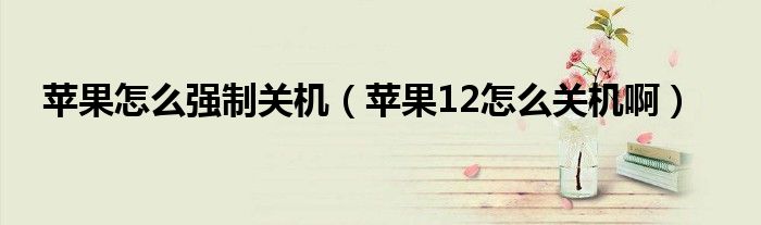 苹果怎么强制关机（苹果12怎么关机啊）