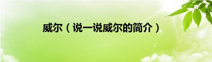 威尔（说一说威尔的简介）