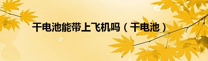 干电池能带上飞机吗（干电池）