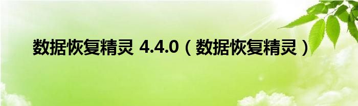 数据恢复精灵 4.4.0（数据恢复精灵）