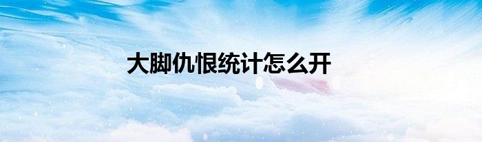 大脚仇恨统计怎么开