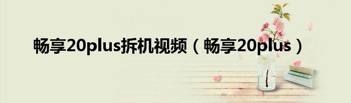 畅享20plus拆机视频（畅享20plus）