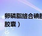卵磷脂络合碘胶囊多少钱一盒（卵磷脂络合碘胶囊）