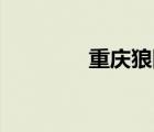 重庆狼队fly（狼队新手卡）