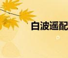 白波遥配过哪些角色（白波遥）