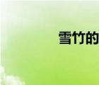 雪竹的寓意和象征（雪竹）