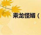 乘龙怪婿（说一说乘龙怪婿的简介）
