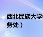 西北民族大学教务处 陈洁（西北民族大学教务处）