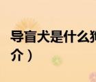 导盲犬是什么狗（说一说导盲犬是什么狗的简介）