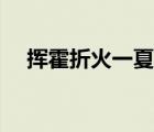 挥霍折火一夏讲的什么（挥霍折火一夏）