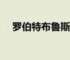 罗伯特布鲁斯蜘蛛织网（罗伯特布鲁斯）