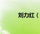 刘力红（说一说刘力红的简介）