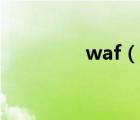 waf（说一说waf的简介）